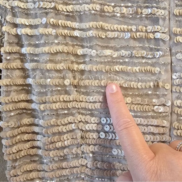 Johnny Was Champagne Beaded Mesh Dress Sz 8 NWT - Picture 12 of 13